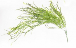 033 Veštaćke lozice   